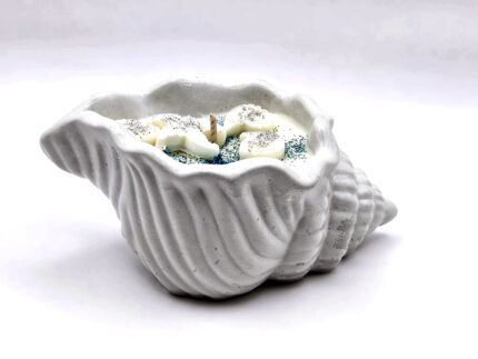 Lumanare Parfumata -  Cupcake ceramic scoica